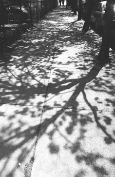 black and white photograph of people walking down the street with their shadows on the sidewalk