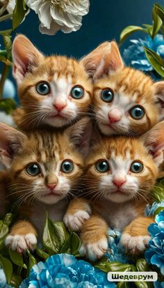 four kittens with blue eyes are surrounded by flowers