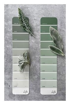 two pantone boards with plants on them