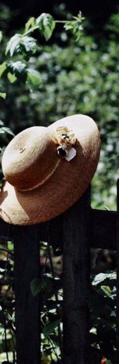 Country Bumpkin, Julia Child, English Cottage, Floppy Hat, Cowboy Hats