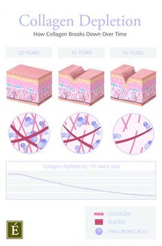 Health Benefits Of Collagen, What Is Collagen, Collagen Skin Care, Eminence Organic Skin Care, Collagen Benefits, Peptide Serum, Layers Of Skin, Organic Skin