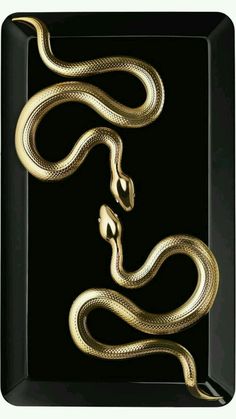 a black and gold plate with a snake on it's side, in the shape of a rectangle