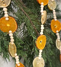 an orange and lemon slice ornament hanging from a christmas tree