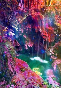 a waterfall in the middle of a forest filled with lots of colorful flowers and trees