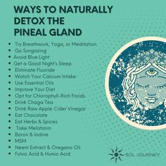 20 Ways To Detox, Decalcify, and Boost The Pineal Gland Naturally – Sol Journey Pineal Gland Drawing, Decalcifying Pineal Gland, Pineal Gland Decalcify, Spiritualism Quotes, Pineal Gland Facts, Decalcify Pineal Gland, Pineal Gland Activation, Pineal Gland