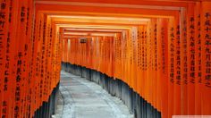 rows of orange and black columns with writing on them