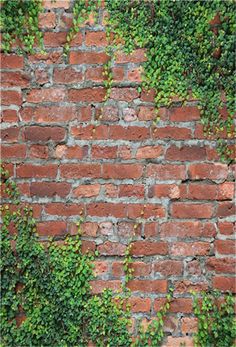 an orange fire hydrant sitting on the side of a brick wall covered in ivy