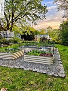 an outdoor vegetable garden with raised beds in the middle