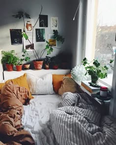 an unmade bed sitting next to a window with potted plants