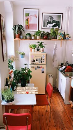 a small kitchen with plants and pictures on the wall above the refrigerator, along with two red chairs