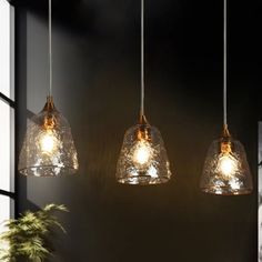 three glass lights hanging from a ceiling in a room with a potted plant next to it