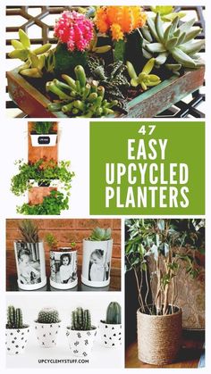 four different pictures with plants in them and the words easy upcycled planters