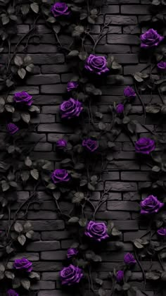 purple roses are growing on a brick wall