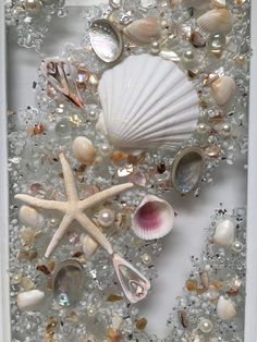 sea shells and pearls are arranged in a shadow box