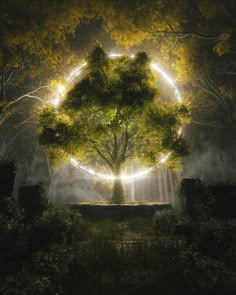 a tree surrounded by lights in the middle of a forest