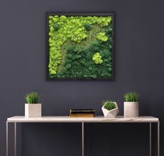 an aerial view of a green forest with trees in the background, framed on a gray wall