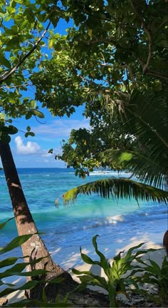 the beach is surrounded by trees and blue water