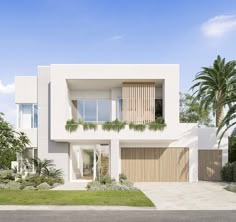 an artist's rendering of a modern house with palm trees and shrubs in the foreground