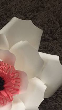 two white and pink flowers sitting on top of a black carpeted floor next to each other