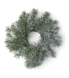 an evergreen wreath is shown on a white background