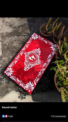 a red bandana laying on the ground next to potted plants