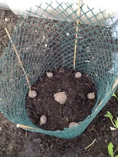 a bag filled with dirt sitting in the ground