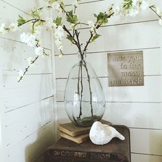 a vase filled with white flowers sitting on top of a table next to a book