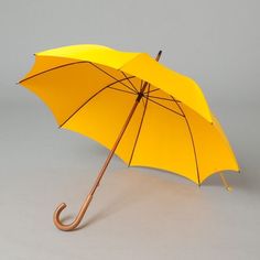 Yellow Umbrella Aesthetic, Fox Umbrella, Umbrella Images, Umbrella Fashion, Oi Polloi, Yellow Umbrella, Fashion Umbrella, 카드 디자인, Under My Umbrella