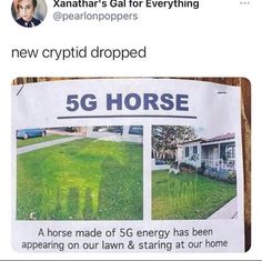 a sign posted on the side of a wooden fence that says, 5g horse