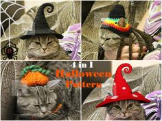 four pictures of cats wearing halloween hats and crocheted pumpkins on their heads