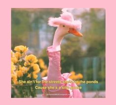 a pink duck wearing a pink hat with flowers in the background that says she's for the streets she's for the pools cause she's a silly goose