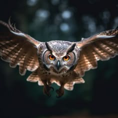 an owl flying through the air with it's wings spread wide and orange eyes