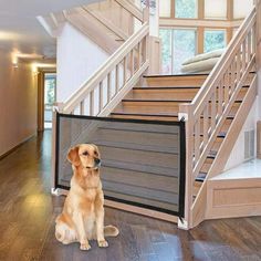 a dog sitting on the floor in front of a stair gate that is attached to a banister