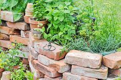 a brick wall with plants growing in it and scissors on the top of each planter