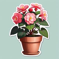 a potted plant with pink flowers and green leaves on a light blue background sticker