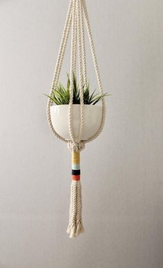 a plant hanging from a rope with a potted plant in it