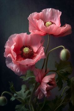 two pink flowers are in a vase on a black tablecloth with green leaves and buds