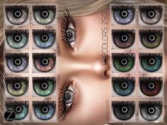 an image of many different colored eyes