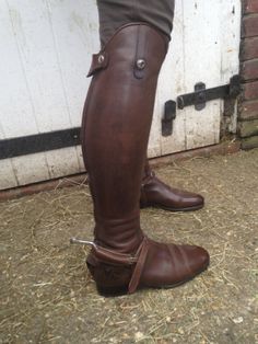 3 years old and still fitting as new! Diogo shown here in brown (escuro). Dressage Boots, Chestnut Mare, Shade Of Brown, Elegant Boots, Equestrian Lifestyle, Equestrian Life, Horse Care