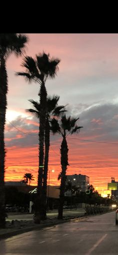 the sun is setting behind some palm trees on the side of the road with buildings in the background