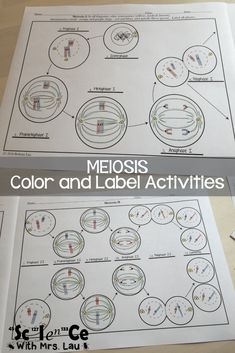 the diagram shows how to label and label labels