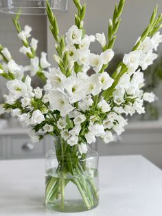 White gladiolus in vase White Gladiolus, White Flower Arrangements, Large Flower Arrangements, Fresh Flower Delivery, Peony Rose, Fresh Flower, Flower Bouquets, Peony Flower