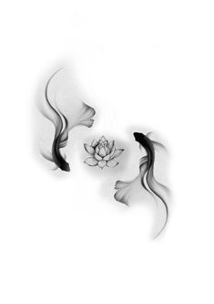 black and white photograph of two water lilies with swirls in the middle, on a white background