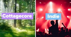 two different images with the words cottagecore and an image of people at a concert