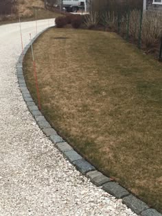 a dog is standing in the middle of a graveled path next to a house