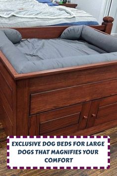 a bed that has been made with dog beds for large dogs that magnifies your comfort