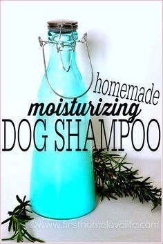 homemade moisturizing dog shampoo in a blue glass bottle with rosemary sprigs