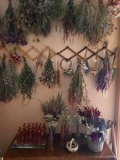 the wall is covered with hanging herbs and bottles