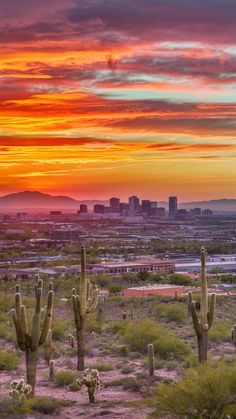 the sun is setting over a desert with cacti