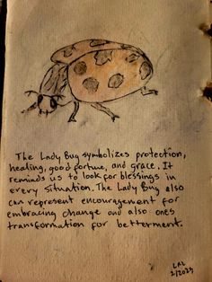 an old book with writing on it and a drawing of a ladybug in the middle